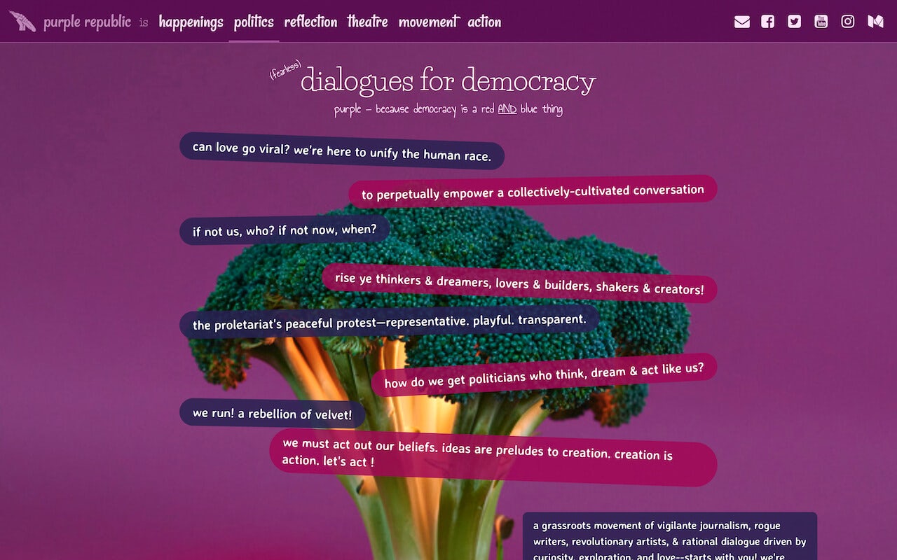 portfolio screenshot of purplerepublic.com, the first iteration of our nonprofit